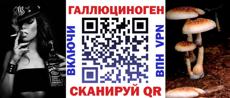 сколько стоит  Дивногорск  Галлюциногенные грибы Cubensis 